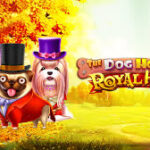 Game The Dog House Royal Hunt Slot